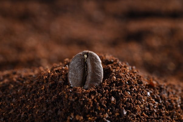 Grind coffee beans right before brewing