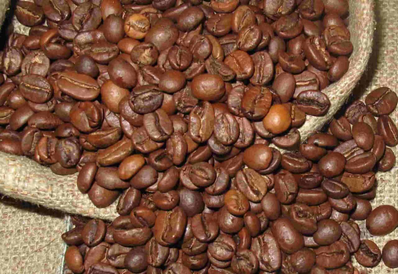 Arabica coffee beans