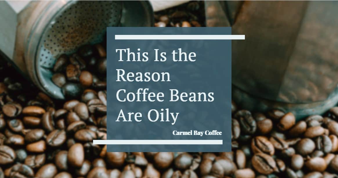 This is the reason coffee beans are oily