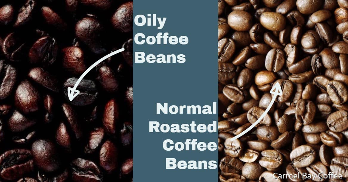 oily coffee beans