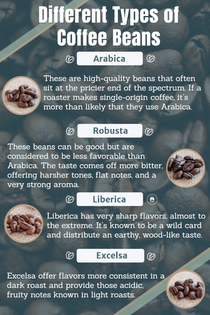 Shows all the different type of coffee beans around the world