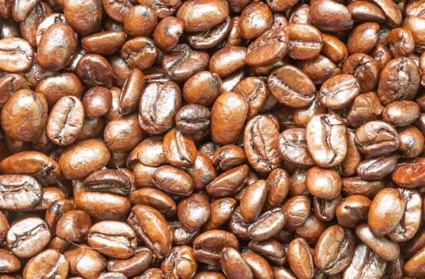 liberica coffee beans