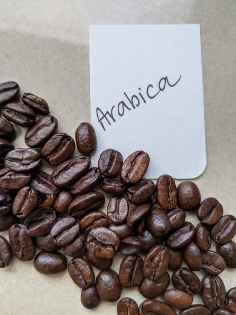 Arabica coffee beans