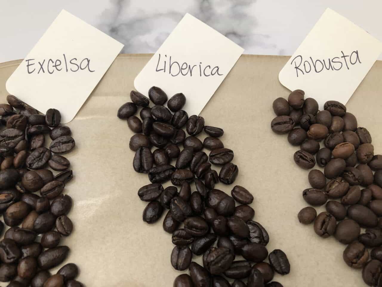 Different coffee beans