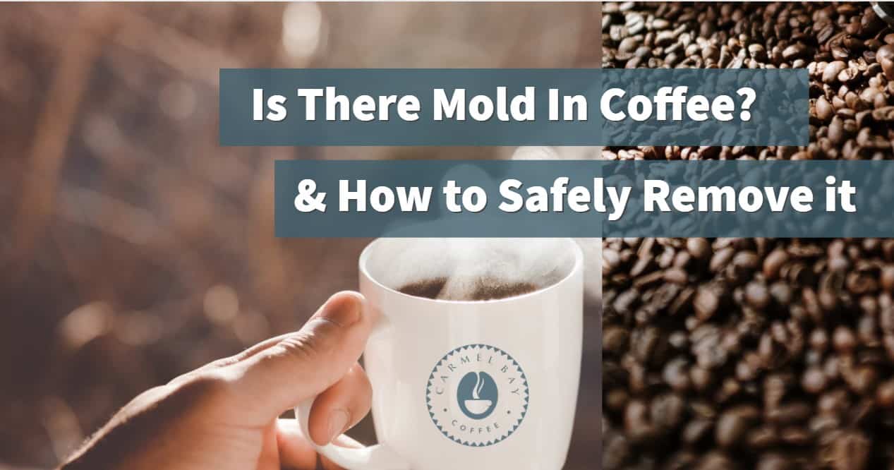 is-there-mold-in-coffee-avoid-these-side-effects-carmel-bay-coffee