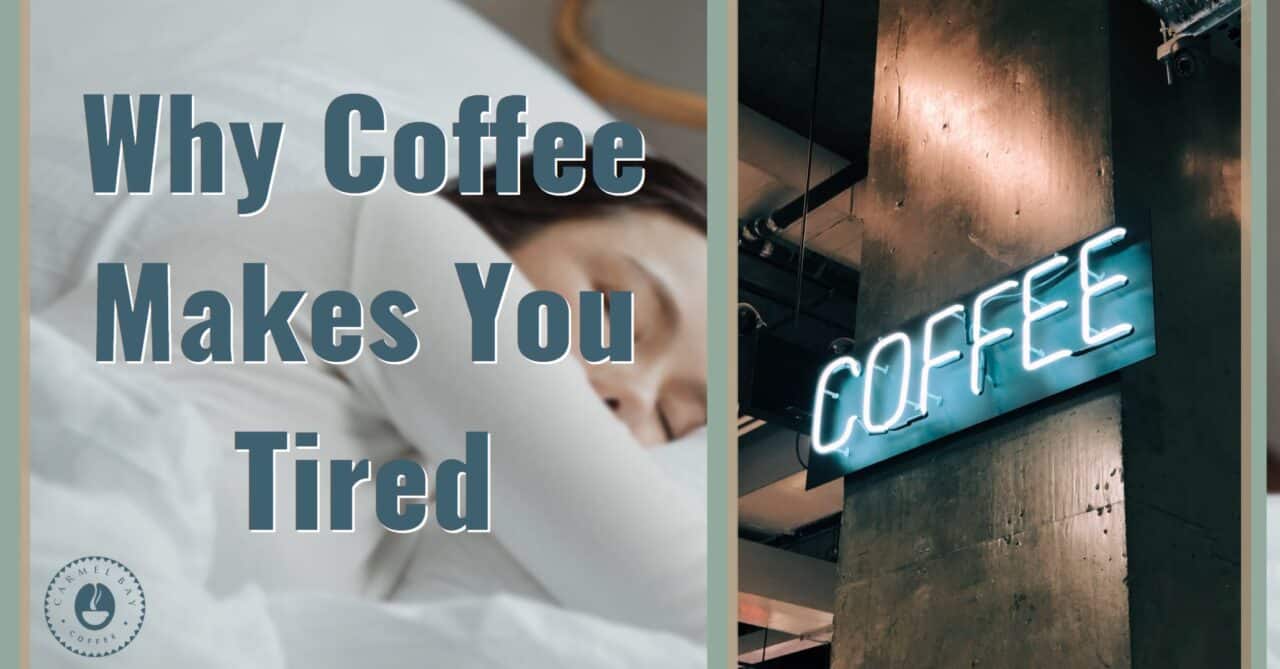 7 Surprising Reasons Why Coffee Makes You Tired Carmel Bay Coffee