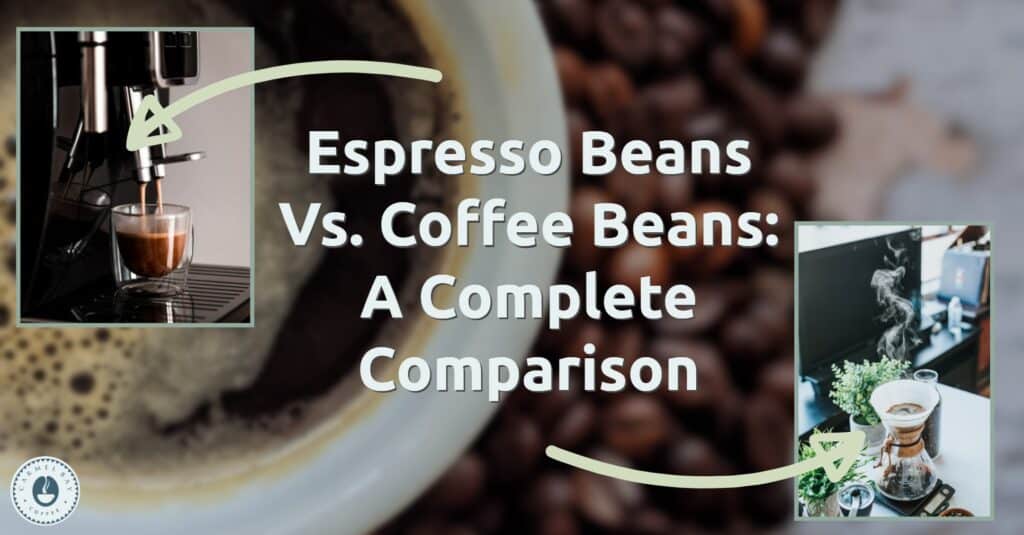 The Ultimate Showdown Exploring the Differences between Black Coffee