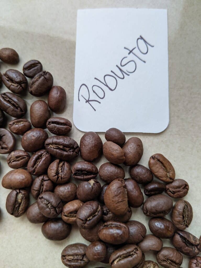 Robusta Coffee Beans