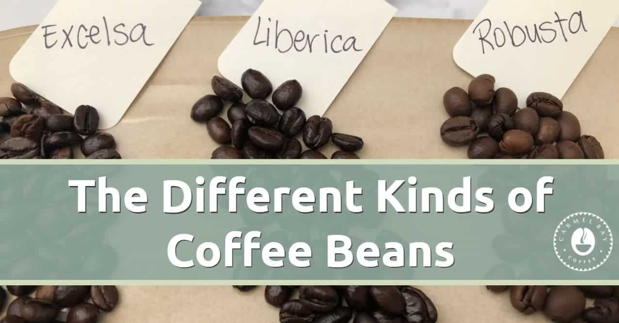 The Different Kinds of Coffee Beans