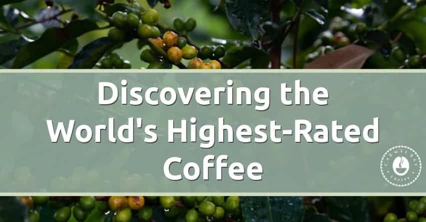 What country has the best coffee