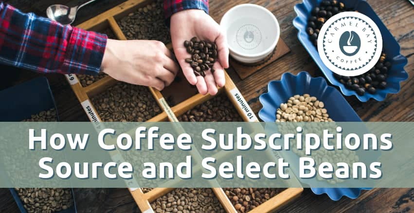 Behind the Scenes: How Coffee Subscriptions Source and Select Beans