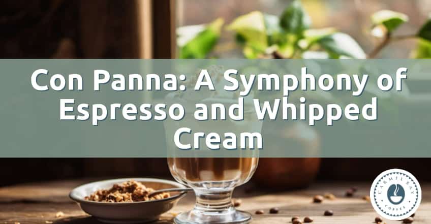 Crafting the Perfect Con Panna Recipe