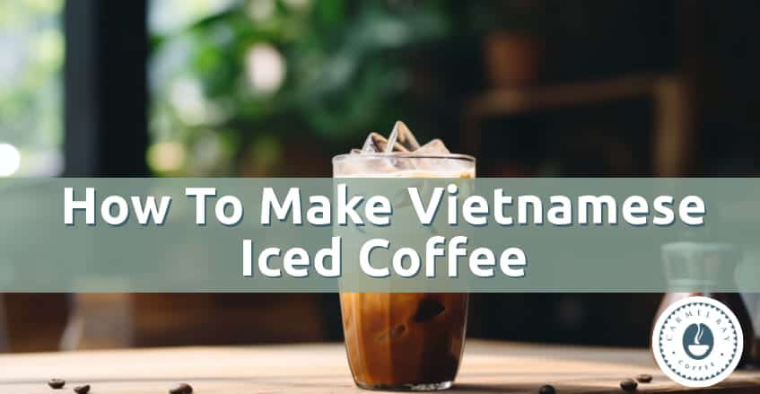 Bridging Cultures, One Sip at a Time: The Vietnamese Iced Coffee Voyage