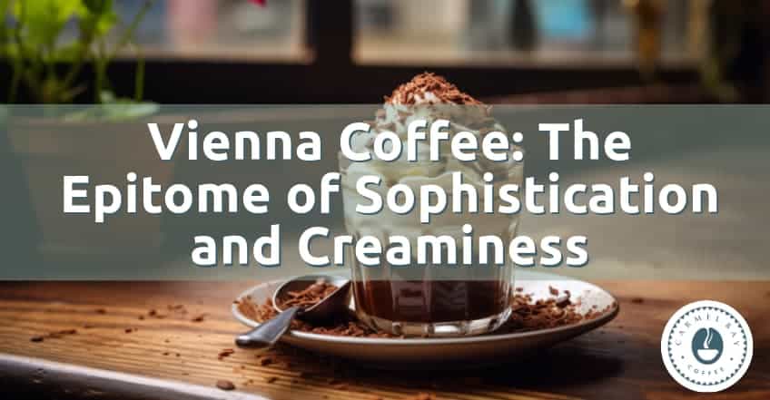 Vienna Coffee: The Epitome of Sophistication and Creaminess