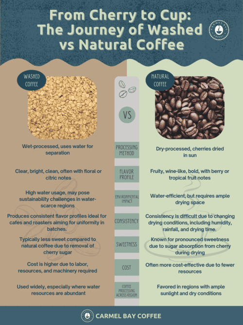 Washed vs Natural Coffee infographic