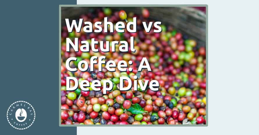 From Cherry to Cup: The Journey of Washed vs Natural Coffee